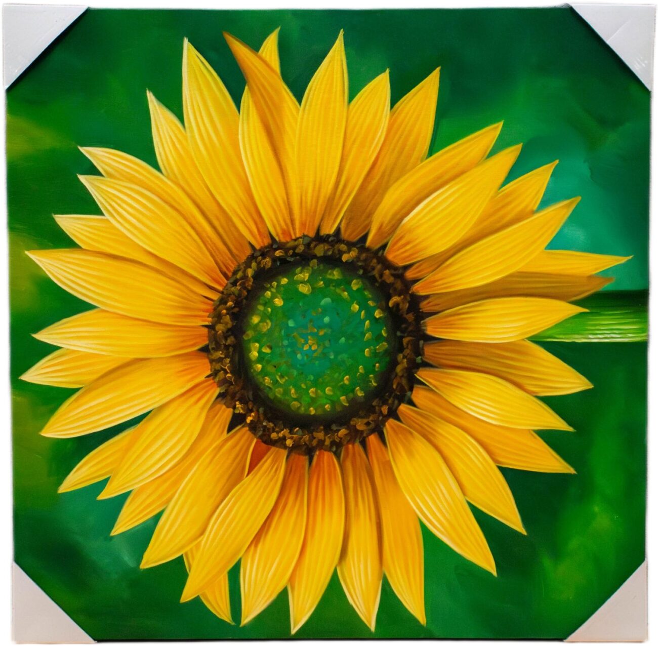 Girasol - Imagen 2
