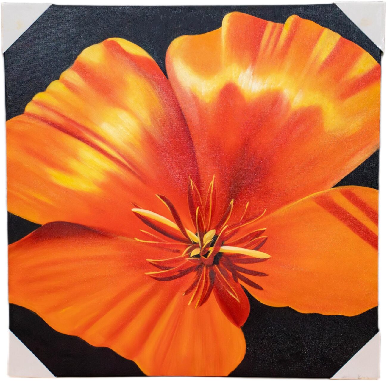 Lienzo Amapola Naranja - Imagen 2