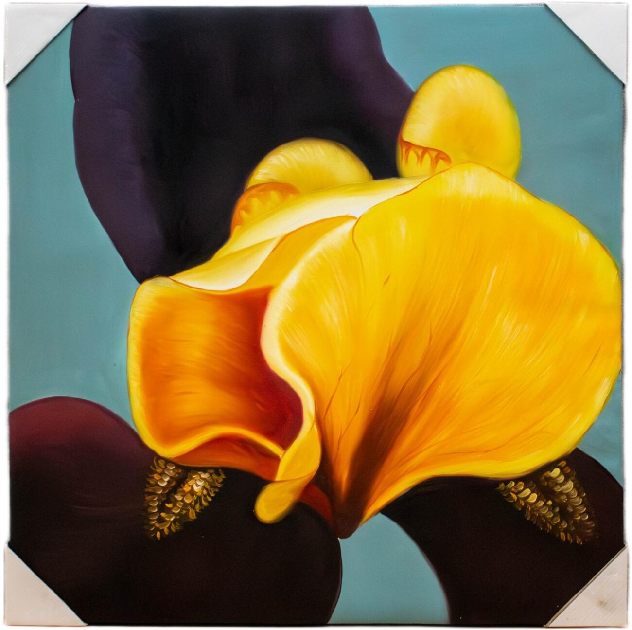Lienzo Lirio Amarillo - Imagen 2
